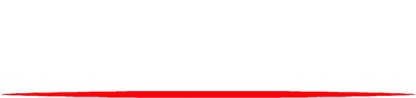Noroo Automotive Paint